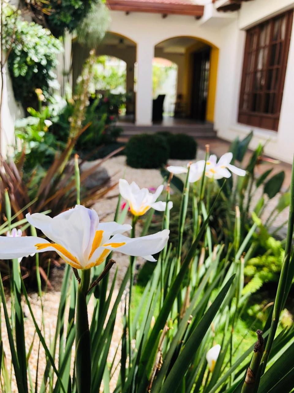 Hotel Boutique La Casa De Margarita Κοτσαμπάμπα Εξωτερικό φωτογραφία
